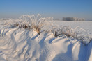 Winterlandschap ten zuiden van Hapert. Een laatste winterblik richting toekomstig Kempisch Bedrijven Park ten zuiden van Hapert.