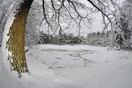 Doorkijkje naar een winters beeld van het Laarven aan de Postelseweg in Eersel. 10,5mm fisheye-lens