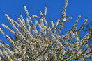 Spring is in the air! Eco-zone KBP, Hapert.